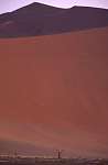 dune_1.jpg