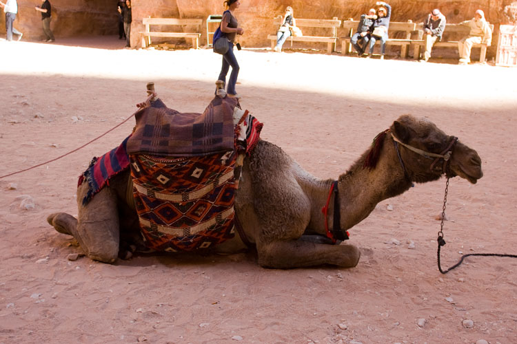 Petra_019