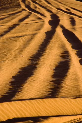 Wadi_Rum_26
